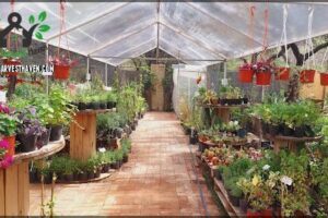 Más Jardín Vivero Multiespacio