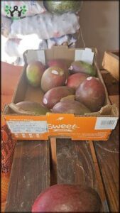 Mayorista frut y verd Locos por las paltas