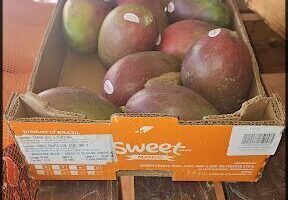 Mayorista frut y verd Locos por las paltas