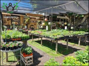 McLaren Vale Garden Centre