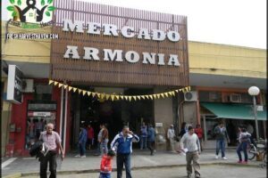 Mercado Armonía