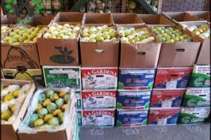 Mercado de Productores y Abastecedores de Frutas, Verduras y Hortalizas de Santa Fe S.A.