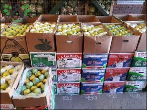 Mercado de Productores y Abastecedores de Frutas, Verduras y Hortalizas de Santa Fe S.A.