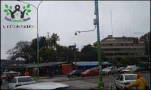 Mercado de Pulgas