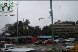 Mercado de Pulgas