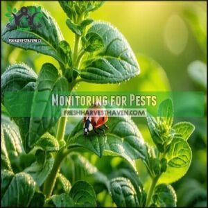 Monitoring for Pests