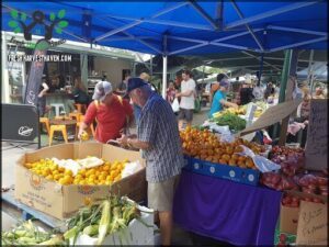 Mt Gravatt Sunday Markets
