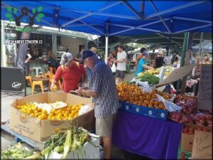 Mt Gravatt Sunday Markets