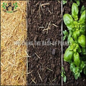 Mulching The Base of Plants