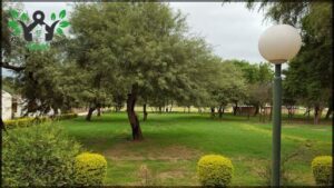 National University of Catamarca