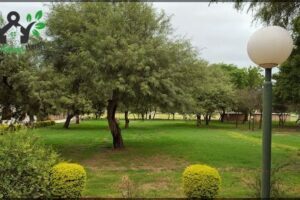 National University of Catamarca