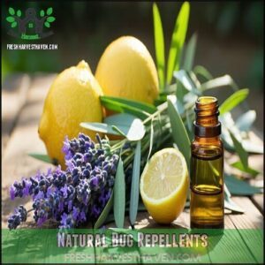 Natural Bug Repellents