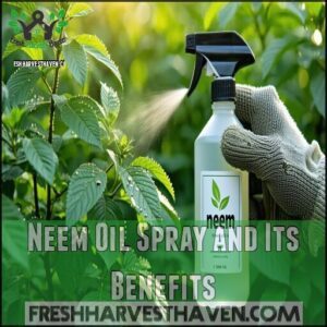 Neem Oil Spray and Its Benefits