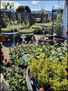 New Town Station Nursery