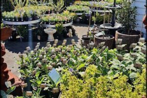 New Town Station Nursery