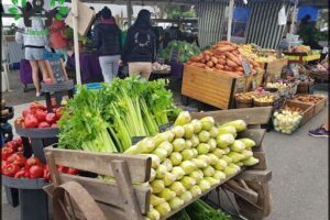 Newcastle City Farmers Market