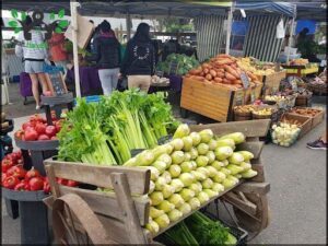 Newcastle City Farmers Market