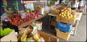 Nightcliff Market
