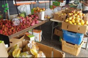 Nightcliff Market