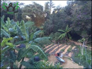 Noosa Forest Retreat; Community & Permaculture Course Center Qld