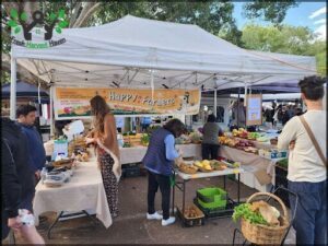Northey Street Organic Farmers Market