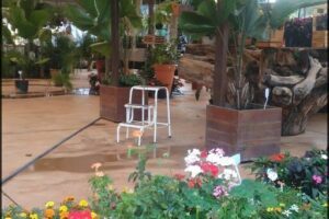 Oréades Viveiro e Garden Center