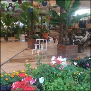 Oréades Viveiro e Garden Center