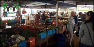 Palm Beach Farmers Market