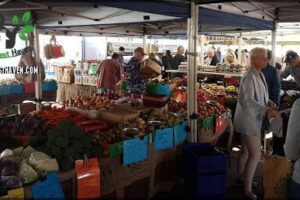 Palm Beach Farmers Market