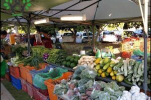 Palmerston Markets