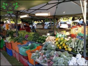 Palmerston Markets