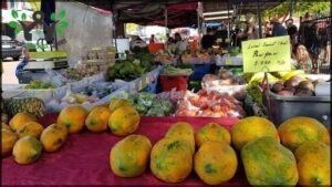 Parap Village Markets
