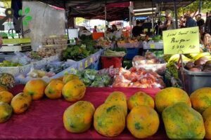 Parap Village Markets