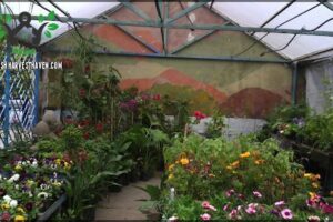 Paseo de Plantas y Flores Vivero La Belgrano
