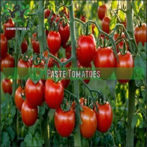 paste tomatoes