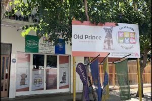 PATAS ARRIBA Pet Market