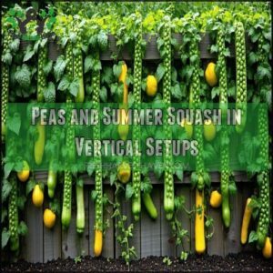 Peas and Summer Squash in Vertical Setups
