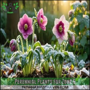 Perennial Plants for Zone 5