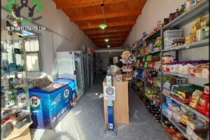 Petit Mercado y Heladeria "La familia".
