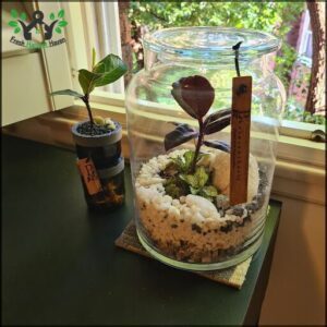 Photosynthesis