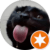 Pino