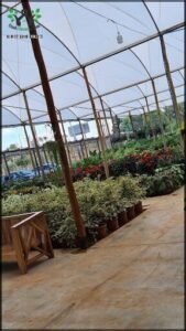Plantari Plantas e paisagismo