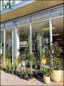 Planted By Nicole - Horticulture Studio