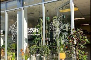 Planted By Nicole - Horticulture Studio