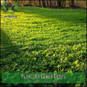 Planting Cover Crops