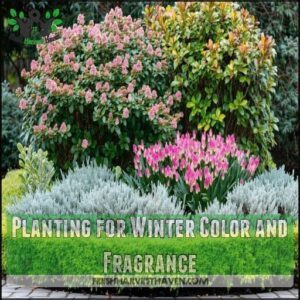 Planting for Winter Color and Fragrance