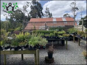 Plants of Tasmania Nursery