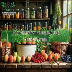 Post-Harvest Handling and Preservation