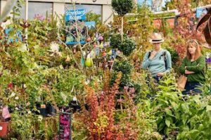 Poyntons Nursery