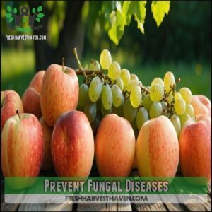 Prevent Fungal Diseases